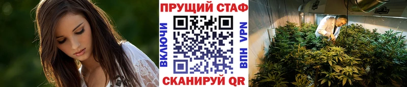 Наркошоп Лесной Бошки Шишки  КОКАИН  АМФ  Гашиш  ОМГ ОМГ рабочий сайт  А ПВП 