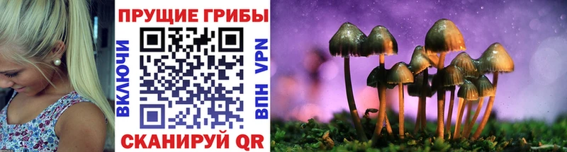 Псилоцибиновые грибы мухоморы Лесной