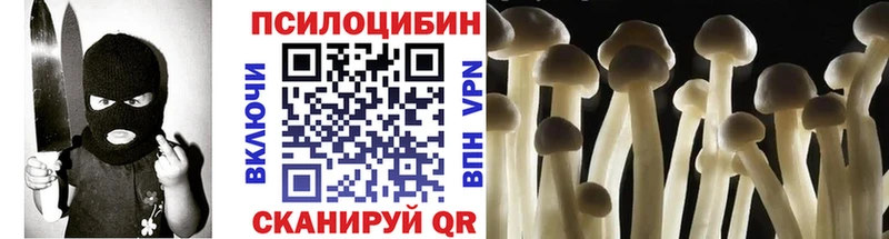 Псилоцибиновые грибы Cubensis Лесной